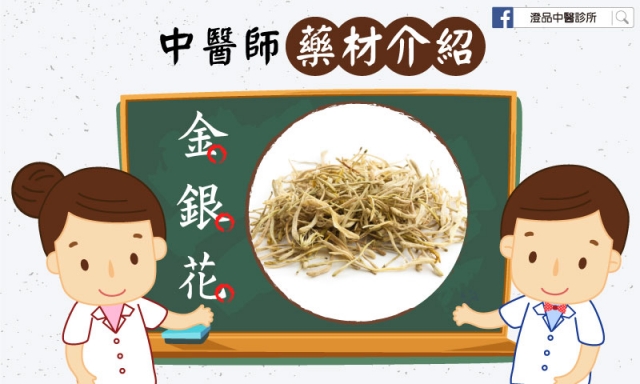 藥材介紹 金銀花 澄品中醫診所